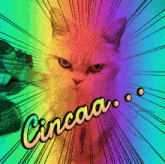 a cat with a rainbow background and the word cincaa above it