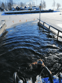 a person swimming in a body of water with a dock in the background