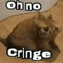 a cat is sitting on the floor with the words `` oh no cringe '' written next to it .