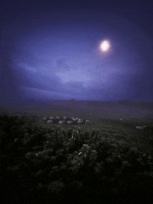 a sheep herd in a field at night with a full moon in the sky