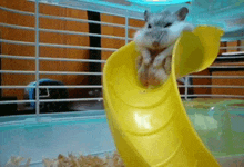 a small hamster is playing on a yellow slide in a cage