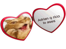 a heart shaped mirror with a picture of a cat and the words adrian q rico lo ases on it