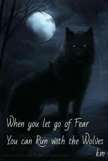 a picture of a wolf with the words " when you let go of fear you can run with the wolves km "