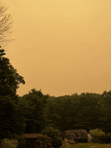 a house sits in the middle of a forest with a yellow sky in the background