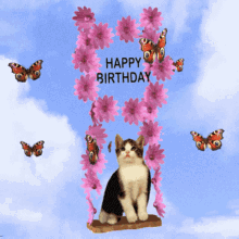 a birthday card with a cat and butterflies and flowers