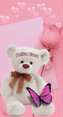 a white teddy bear with anita cruz written on it