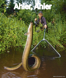 a man with a fishing rod is holding a large fish with the name ahler written on it