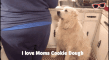 a dog sitting in front of a woman with the words " i love moms cookie dough "