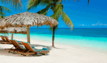 thatched umbrellas and lounge chairs on a beach