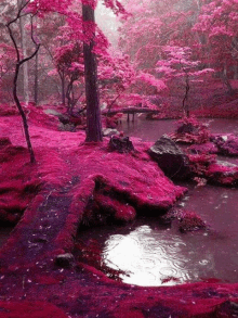 a river surrounded by trees with pink leaves