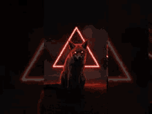 a black fox is sitting in front of a neon triangle .