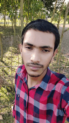 a man in a plaid shirt takes a selfie in front of a forest