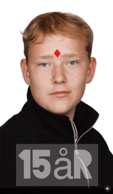 a young boy with a red diamond on his forehead and the number 15 on the bottom