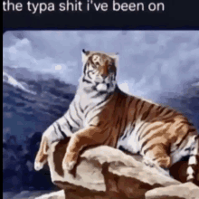 a painting of a tiger laying on top of a rock with the caption the typa shit i 've been on