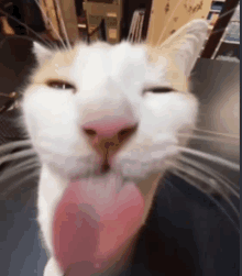 a close up of a cat licking its lips