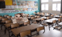 a picture of a cat in a classroom with the words v mozgu help