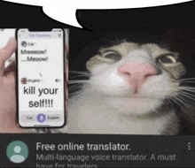 a picture of a cat next to a phone that says " kill your self "