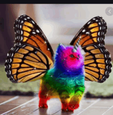 a rainbow cat with butterfly wings is standing on the floor