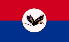 a bird with a long beak is flying in a white circle on a blue and red background