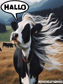 a picture of a cow with a speech bubble saying hallo