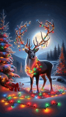 a painting of a reindeer with christmas lights around his neck