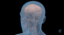 a computer generated image of a human head with a brain inside of it