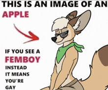 a picture of a furry with an arrow pointing to it that says this is an image of an apple if you see a femboy