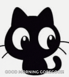 a black cat with big eyes is saying `` good morning gorgeous ! ''