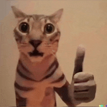 a close up of a cat giving a thumbs up sign .