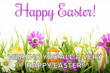 a picture of easter eggs in the grass with the words `` happy easter ! wishing you all a very happy easter ! ''