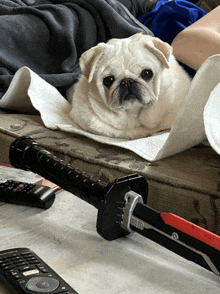 a pug dog laying on a couch next to a remote control and a sword