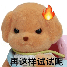 a teddy bear with a fire on its head and chinese writing .