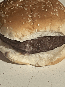 a close up of a hamburger with sesame seeds on the bun