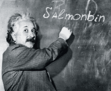 albert einstein writes salmonbin on a blackboard in white chalk