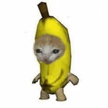 a cat is wearing a banana costume and walking .