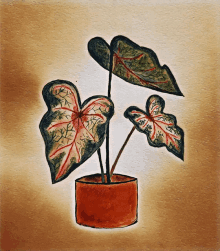 a painting of a plant with red and green leaves in a pot