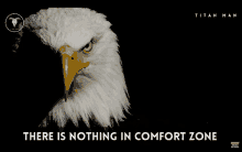 a picture of an eagle with the words there is nothing in comfort zone