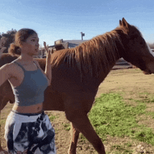 a woman stands next to a brown horse in a field with a sign that says ' a ' on it