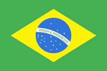 the flag of brazil is a yellow and green flag with a blue circle in the center .