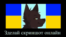 a drawing of a wolf with a blue and yellow background