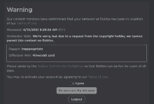 a screen shot of a warning on a roblox page