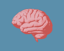 a drawing of a human brain with a blue background