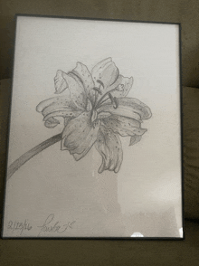 a framed pencil drawing of a flower with the date 2/13/16