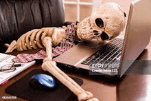 a skeleton is laying on a desk next to a laptop .