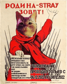 a poster with a cat on it that says rodiha-stray zobit