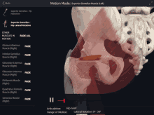 a screen shows a skeleton and muscles and says " motion mode " at the top