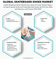 global skateboard shoes market size share & trends analysis report by type cupsole shoes and vulcanized sole shoes )