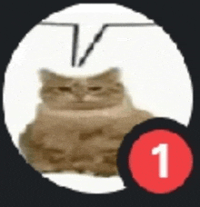 a cat is sitting in a circle with a red 1 notification .