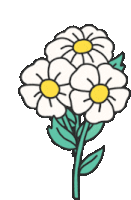 a bunch of white flowers with a yellow center on a white background .