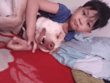 a young boy is laying on a bed with a dog